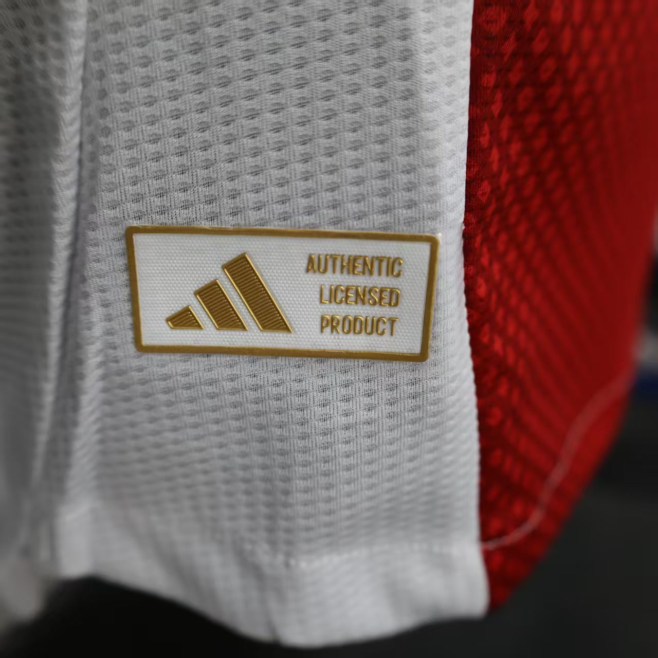 Ajax Extérieur 24/25 - Version Joueur
