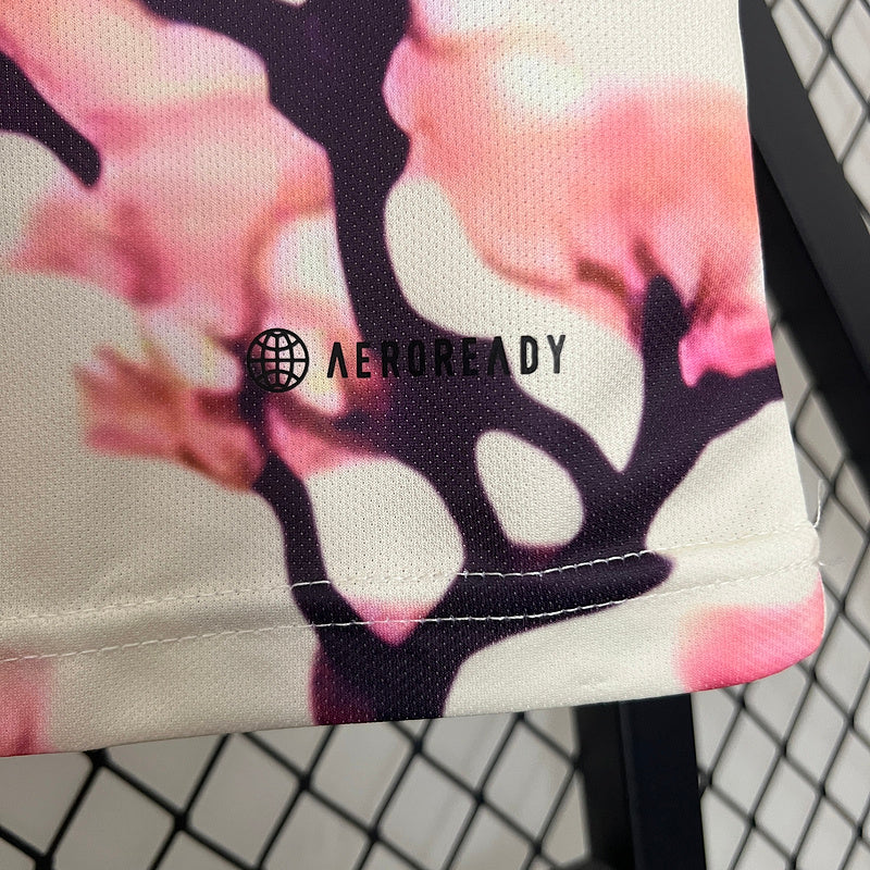 Giappone Edizione Speciale 2024