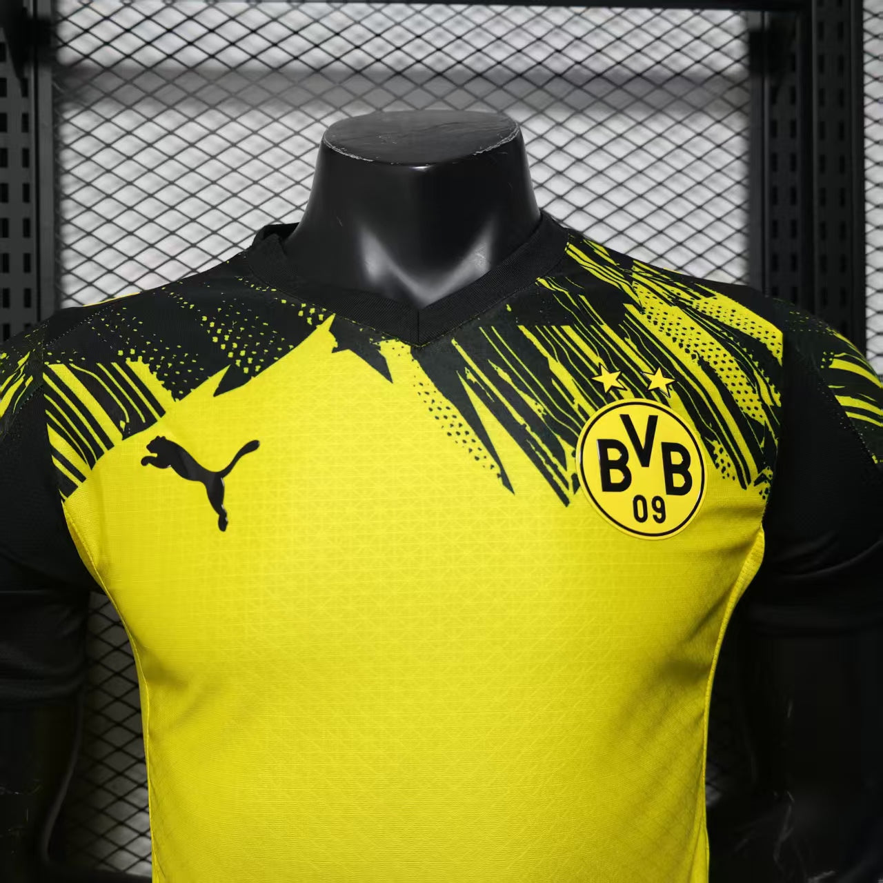 Dortmund 25/26 - Versione Giocatore
